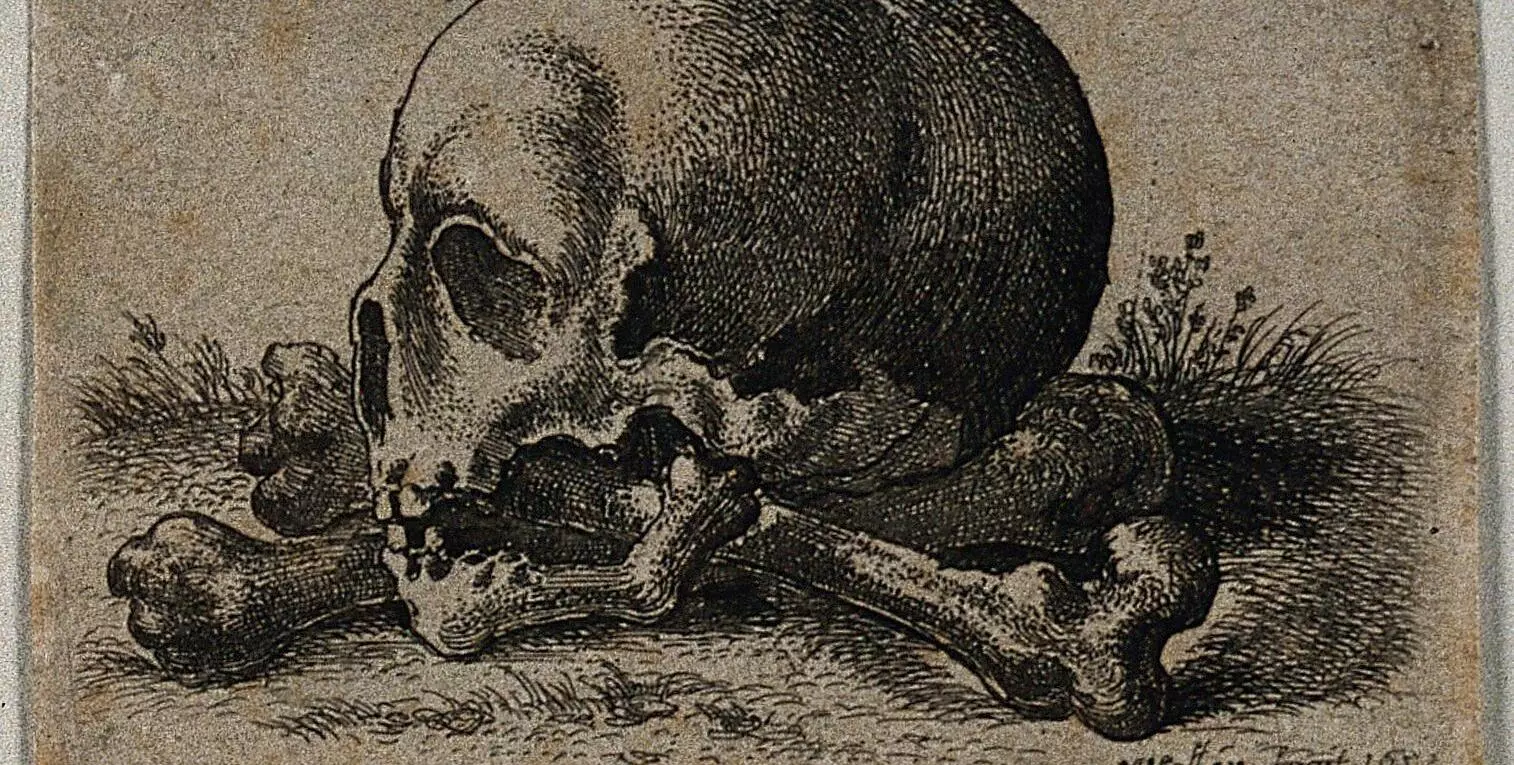 A skull in profile view, resting on two crossed femurs. Etching by Wenceslaus Hollar, 1652